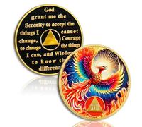 Moneda de sobriedad Phoenix of Light de 17 años, moneda AA de renacimiento en fuego, chip de recuperación de adicciones con cápsula de fichas, regalos de sobriedad anónimos para hombres y mujeres