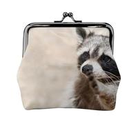 Monedero, Monederos Monedero Bolsa de Cambio Monedero Mini Carteras para Mujeres Niñas Animales Inteligentes Mapache Naturaleza