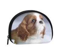 Monedero,Monederos Monedero Cambio Bolsa Monedero Mini Carteras para Mujeres Niñas Regalo,Cavalier King Charles Spaniel Cara