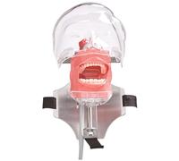 Monetais Typodont, Modelo Dental de Dientes tipodonto, Dientes extraíbles y Correa Ajustable, Cabezal de Entrenamiento Dental