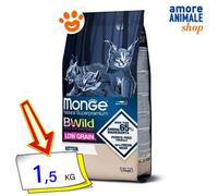 Monge Cat Bwild Bajo en Cereales para Gatitos Oca Alimento Seco Gatos 1,5 Kg