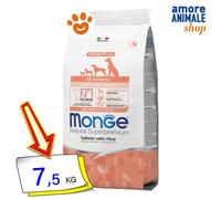 Salmon & Rice - Puppy New