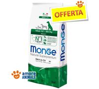 Monge Maxi Adult Rico de Pollo 12 KG - Croquetas para Perros Corte Grande