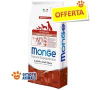 Monge Todas Razas De Puppy & Junior Cordero Y Arroz 12 KG - Croquetas Perro