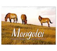 Mongolei - Endlose Steppe und wilde Natur. (Wandkalender 2026 DIN A2 quer), CALVENDO Monatskalender: Eine unbeschreibliche Reise durch ein unbekanntes Land.