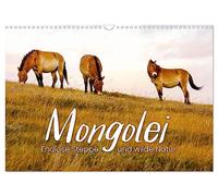 Mongolei - Endlose Steppe und wilde Natur. (Wandkalender 2026 DIN A3 quer), CALVENDO Monatskalender: Eine unbeschreibliche Reise durch ein unbekanntes Land.