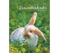 Monika Wegler - Calendario 2023 con diseño de conejos para niños, un encantador calendario animal con bonitas fotos. Calendario decorativo para amantes de los animales. Formato vertical 34 x 44 cm.