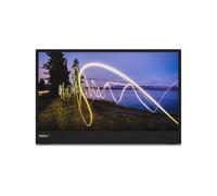 Lenovo ThinkVision M15 LED display 39,6 cm (15.6") 1920 x 1080 Pixeles Full HD Negro