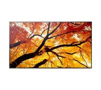Monitor NEC MultiSync PN-M752 74,5" UltraHD 4K 60Hz IPS USB-C Altavoces Integrados
