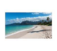 Monitor Sharp PN-UN553S 55" FullHD 60Hz IPS Videowall Ultra Fino