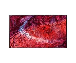 Monitor Sony BZ40P 55" UltraHD 4K 100Hz IPS HDR10 WiFi Android