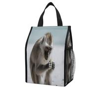 Monkey on The Ground - Lonchera aislada con capacidad de 12 litros con bolsillos laterales dobles, bolsa enfriadora plegable, bolsa térmica a prueba de fugas, bolsas de picnic reutilizables para