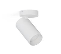 MONO BLANCO PLAFÓN SPOT NT 1X GU10/10W IP20 ACERO 7807