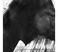 Mono - One Step More & You Die/New York Sound [Vinilo]