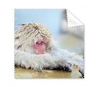 Mono organismo animal fotografía gafas paño de limpieza paño móvil limpiador de pantalla 5 unidades regalo