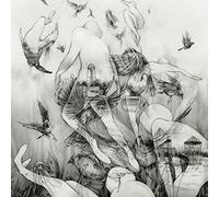 Mono - The Last Dawn [Vinilo]