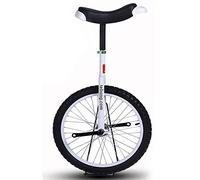 monociclo, Monociclo de ruedas 16 pulgadas for niños con llanta aleación, neumático extra grueso y soporte almacenamiento resistente, equilibrio, ciclismo, ejercicio físico for adultos(White)