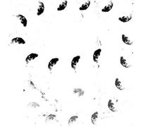 Monolithe Noir - Moira [Vinilo]