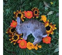 Monolord - Your time to shine