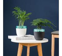 MonoSora Maceta de riego automático con recipiente de agua para el hogar, jardín y oficina, color blanco