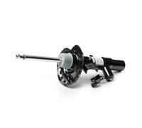 Amortiguador Espiga arriba C2507L MONROE para FORD GALAXY II S-MAX