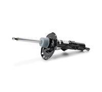 Amortiguador Espiga arriba C2506R MONROE para FORD GALAXY II S-MAX S-MAX VAN