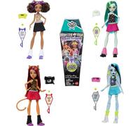 Monster High Buried Secrets Cozy Creepover Muñecas y accesorios, muñeca misteriosa y 5 sorpresas por descubrir al abrir el paquete (los personajes pueden variar), HYV64