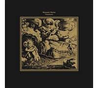 Monster Movie - Transistor (expanded) [VINYL] [Vinilo]