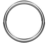 Monster Piercing Calibre 14 - bisagras de Titanio s?Lido de 12MM de di?Metro Grado 23 tabique segmento del Anillo de la Nariz Piercings