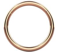 Monster Piercing Rose Oro anodizado Calibre 16 - bisagras de Titanio s?Lido de 12MM de di?Metro Grado 23 tabique segmento del Anillo de la Nariz Piercings