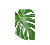 Monstera Leaf - Ambientadores para coche, 4 unidades, tarjetas perfumadas colgantes, tarjetas perfumadas para tabletas de aromaterapia de coche