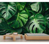 Monstera - Papel pintado grande con hojas tropicales, papel tapiz botánico para dormitorio, mural de pared Monstera - 200 x 200 cm (no se pela y pega)
