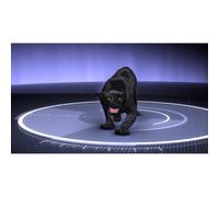 Monsterquest: Lions in the Backyard [USA] [DVD]