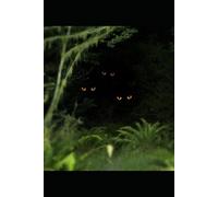 Monsters We Made: Unmasking the Animals Behind the Myths (The Unkindness of Mirrors: Studies in the Stories We Tell About Fear)