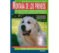 Montaña De Los Pirineos