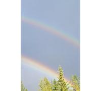 Montana Pride Journal