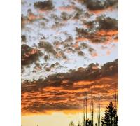 Montana Sunset Journal
