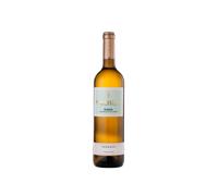 Montecillo Verdejo 2022 1 x 750 ml