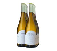 Monterrei Triay Godello 2025 (x6)