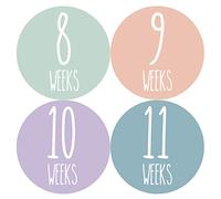 Months In Motion Pegatina semanal para crecimiento del embarazo, semana a semana embarazada esperando fotos | recuerdo de maternidad | Baby Bump | Pegatinas semanales para foto (juego de 36 pegatinas)