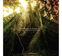 Montibus Communitas - Hacia Aquellos Bosques [Vinilo]