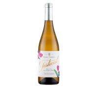 Montilla-Moriles Alvear Conde de la Cortina Festival Pedro Ximénez 2023