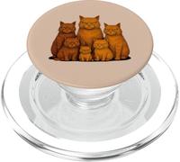 Moody Orange Cat Humor gruñón Amantes felinos Gato Jengibre PopSockets PopGrip para MagSafe