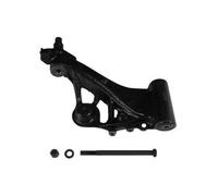 MOOG Barra de suspensión para FIAT: Punto & LANCIA: Ypsilon (Ref: FI-TC-2042)