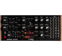 Moog labyrinth - sintetizador analógico generativo paralelo semimodul