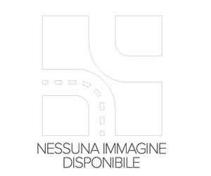 MOOG Radlagersatz FD-WB-13025