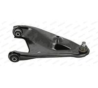 Moog RE-WP-3744 Barra Oscilante, Suspensin De Ruedas