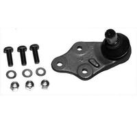 MOOG Rótula de suspensión/carga para MG: MG TF, MG F (Ref: RO-BJ-6597)