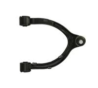 MOOG TE-WP-17528 Barra oscilante de suspensión de ruedas Brazo oscilante transversal