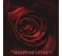 Moon of Steel - Insignificant Details